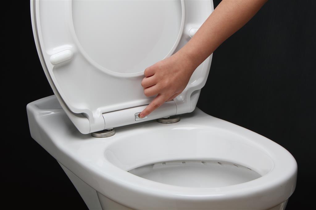 TEMA SLIMLINE DELUXE SOFT CLOSE TOILET SEAT WHITE