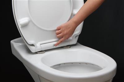 TEMA SLIMLINE DELUXE SOFT CLOSE TOILET SEAT WHITE
